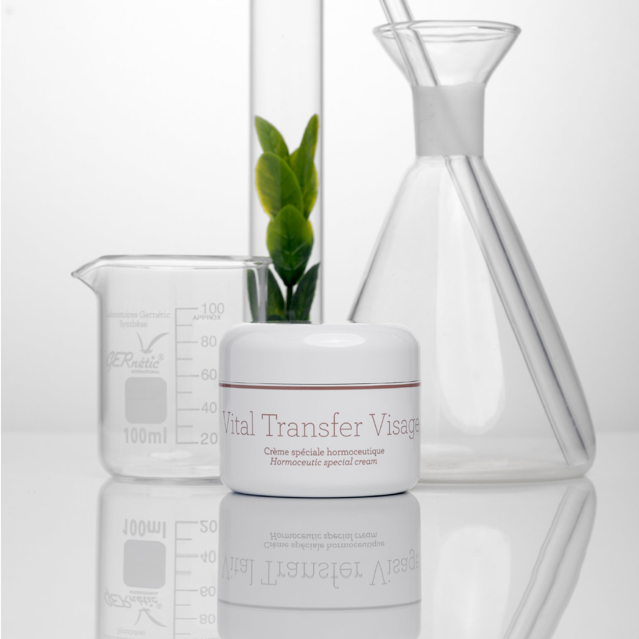 Vital Transfer Face של GERnétic - צנצנת הקרם בתצוגה לצד כלי זכוכית מעבדתיים ועלים ירוקים